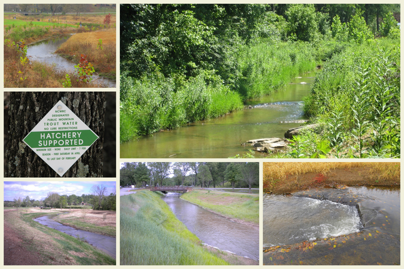 Cub Creek after images Cub Creek after images