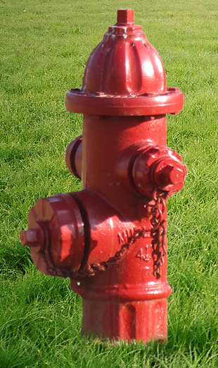 fire hydrant at dog park  fire hydrant at dog park