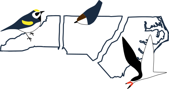 nc birding trail logo nc birding trail logo