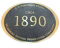 IMG 4160-transparent-background