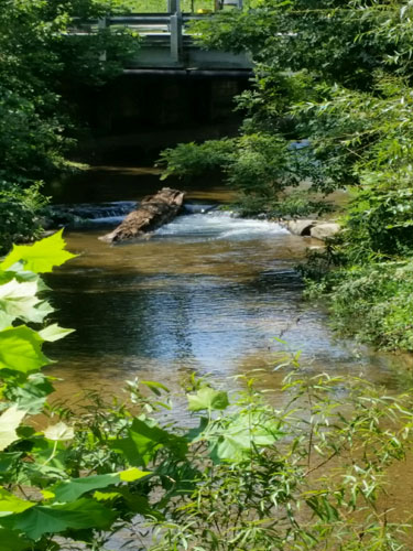 20160830_122306 20160830_122306