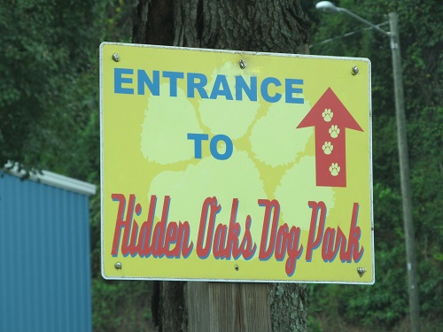 IMG_4221-00001 IMG_4221-00001