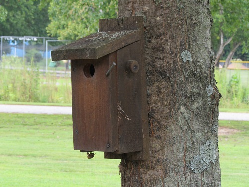 IMG_4227-001 IMG_4227-001