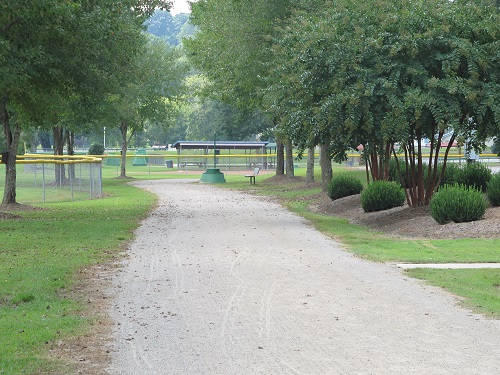 IMG_4238-001 IMG_4238-001