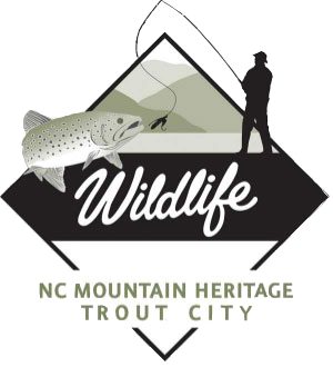 NC Mountain Heritage Trout City
